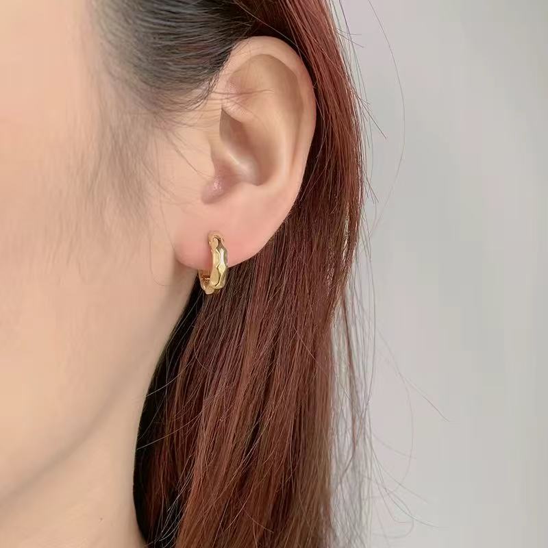 Faceted shiny earrings