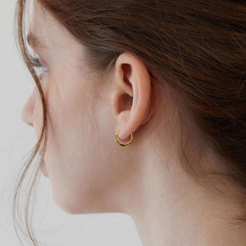 Basic high-end Hoop Earrings