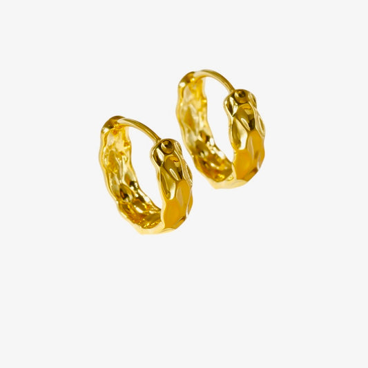 Faceted shiny earrings