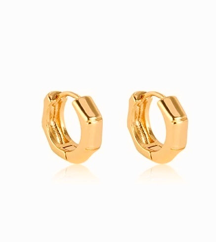 Basic high-end Hoop Earrings
